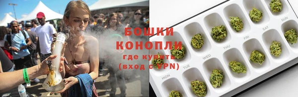 крисы Баксан