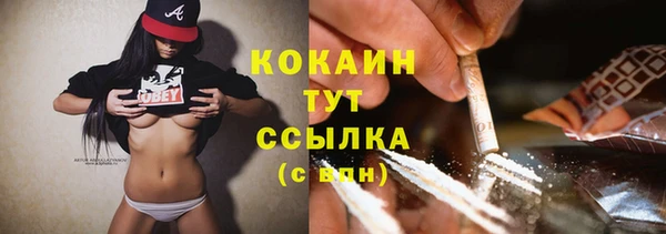 крисы Баксан