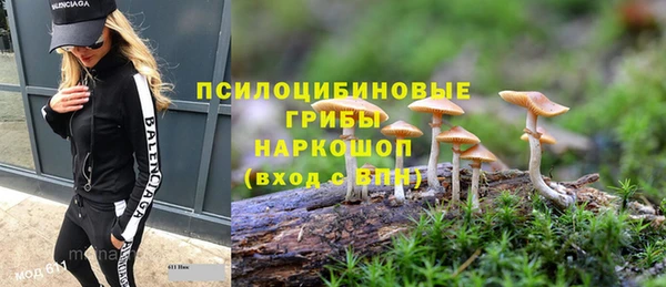 крисы Баксан