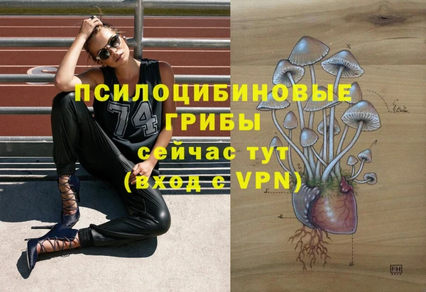 a pvp Балахна