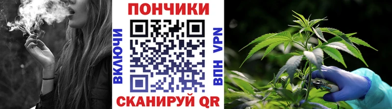 Шишки марихуана Ganja  Купить закладки  Чухлома 